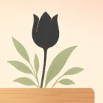 Teologia reformada: fundamentos e os cinco solas da fé cristã